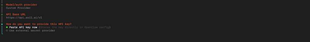 Choose paste now vs external secret