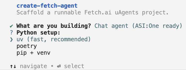 Choose your Python setup